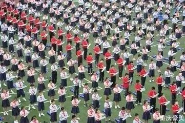 重庆南岸区2021小学划片一览表,重庆谢家湾小学划片2021