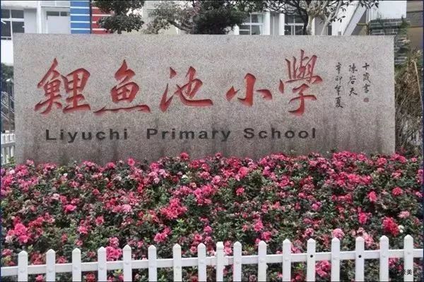 重庆南岸区2021小学划片一览表,重庆谢家湾小学划片2021