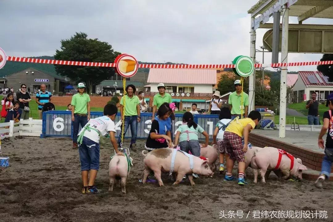 亲子牧场的标杆，看看这家年入2亿的母亲牧场是怎么做到的