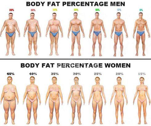 马甲线锻炼出腹肌的全教程,锻炼马甲线腹肌的最佳方法