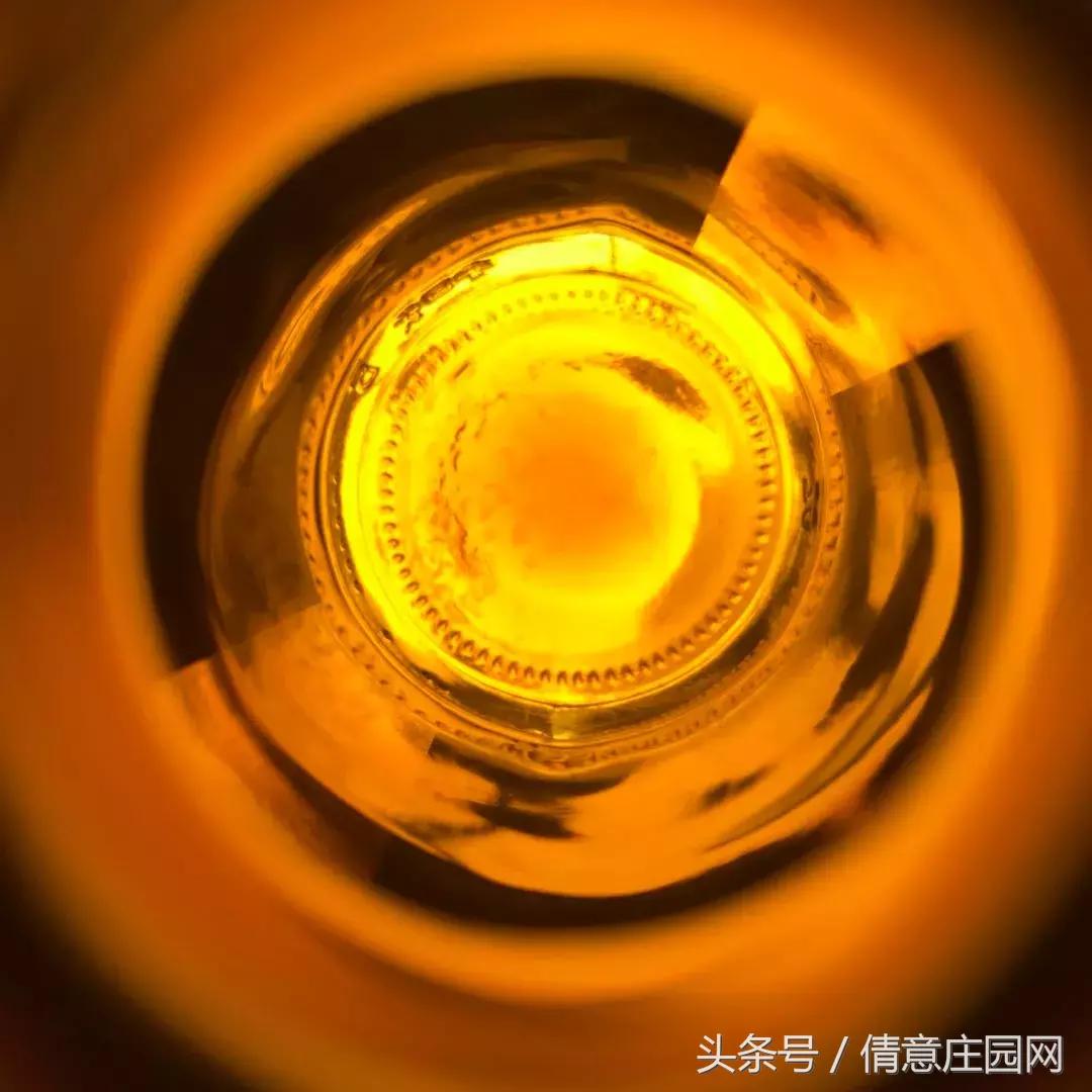 你拍照片,怎么样让拍的照片颜色更鲜艳