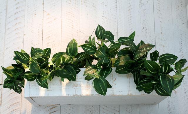 一位白血病母亲的自述：撕心裂肺的哭喊，每一声都让我心如刀绞！