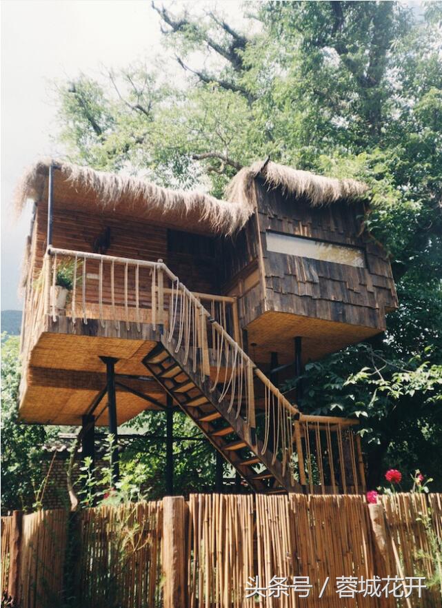 蓉城花开夏日清凉,蓉城花开的日子