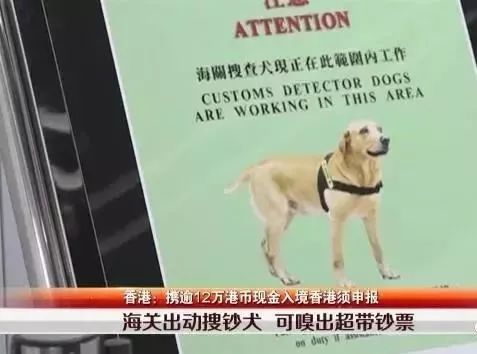 限制高消费人员过关去香港流程,内地入境香港通关最新通告