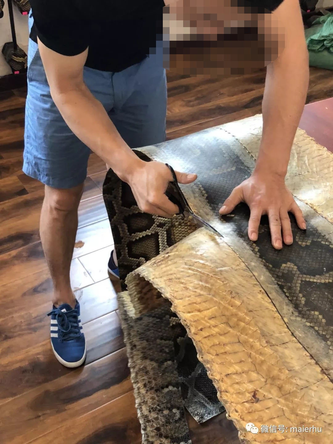 二胡的琴皮选择,二胡琴皮是粗鳞好还是细好