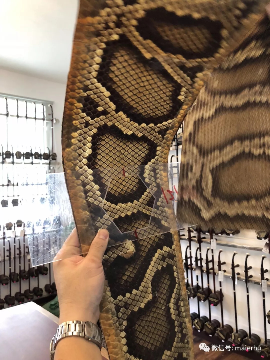 购买二胡怎样挑选,购买二胡