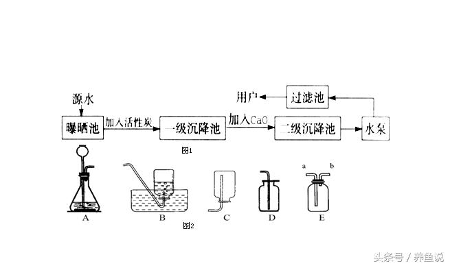 热带观赏鱼养水养50个小时可以吗,如何养好观赏鱼淡水鱼