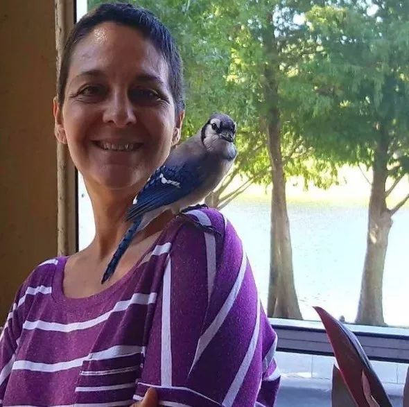 万物皆有灵救了蛇王一命,万物皆有灵救了一只狼崽