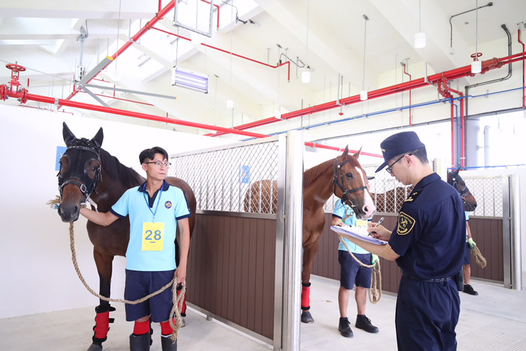 香港赛马会从化马场,香港沙田马场马匹亮相区