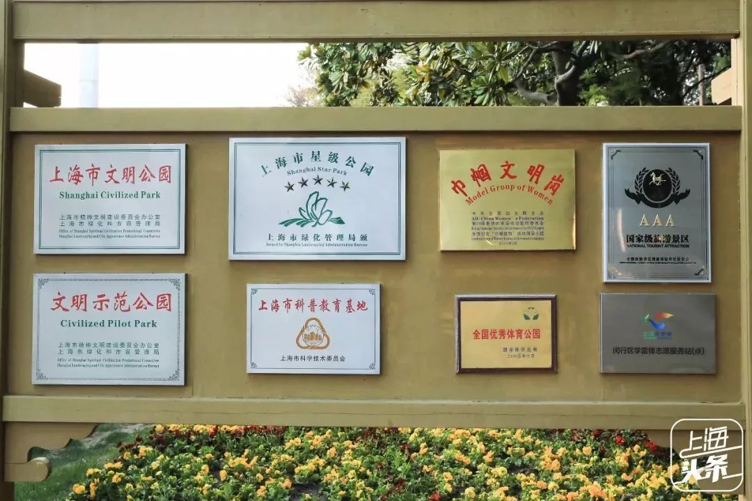 向日葵花海上海旅游攻略,上海市中心有一片向日葵花海