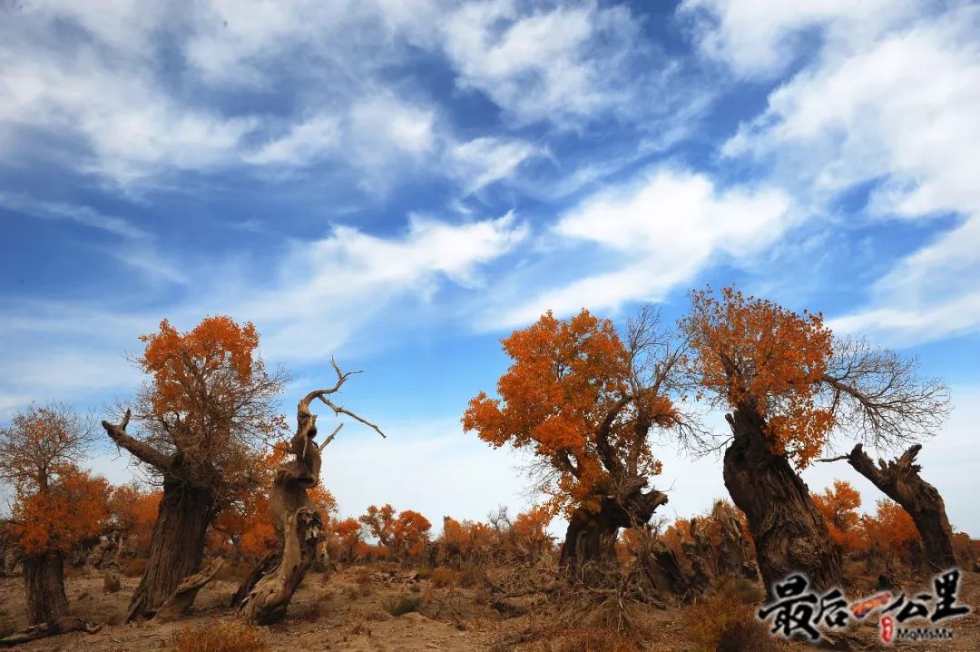 哈密好看的城市,哈密一座生态宜居之城