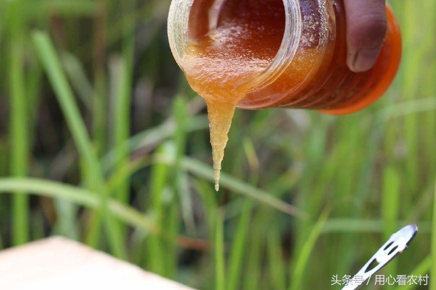 教你一招辨别蜂蜜方法,分辨蜂蜜的最佳方法到底哪种靠谱