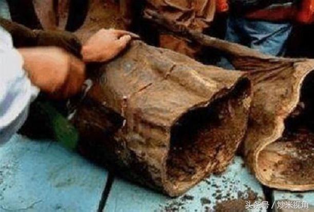 假如世界上真的有丧尸会怎样,如果世界上真的有丧尸