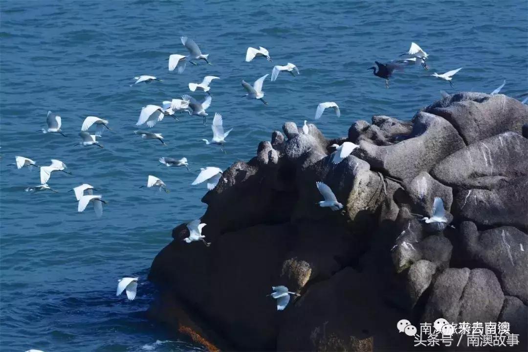 这座小岛究竟隐藏了多少秘密,一座鲜为人知的隐藏小岛