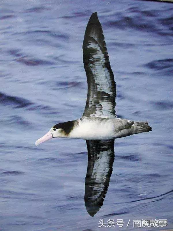这座小岛究竟隐藏了多少秘密,一座鲜为人知的隐藏小岛