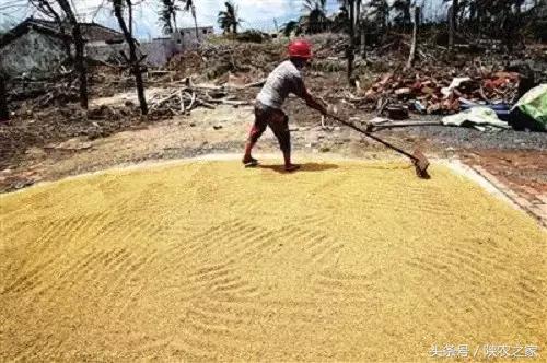 现在农民难种地苦的顺口溜,农村种地大实话顺口溜男声版