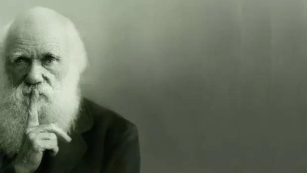 世界上极度怪异的巨大动物,世界上最奇特又怪异的动物