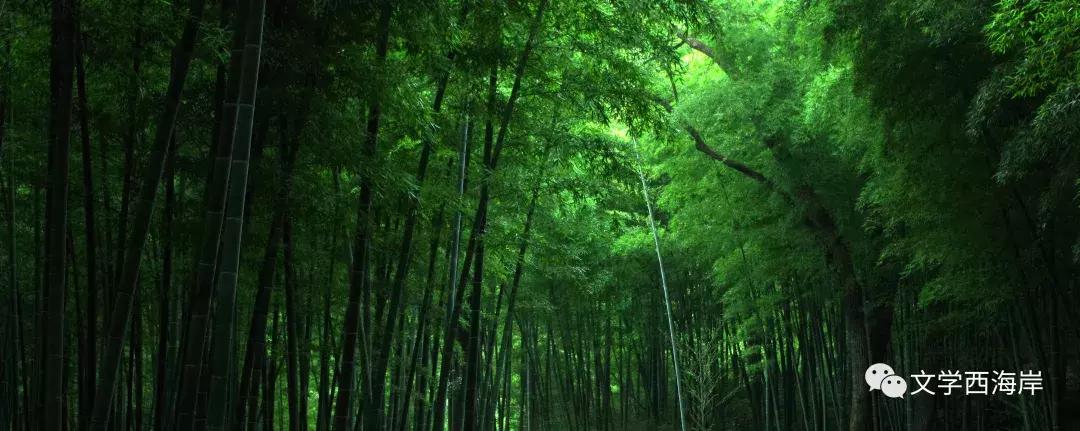 阅读纪｜老李的土地物语（外三篇）