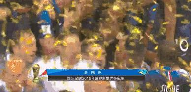 世界杯足球史上的至暗时刻,足球世界杯十大感人瞬间