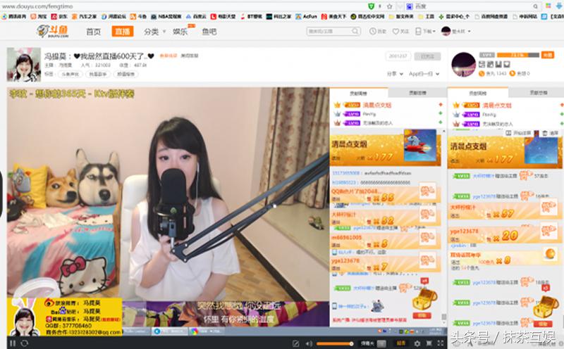 繁殖斗鱼挣钱吗,泰国斗鱼挣钱吗