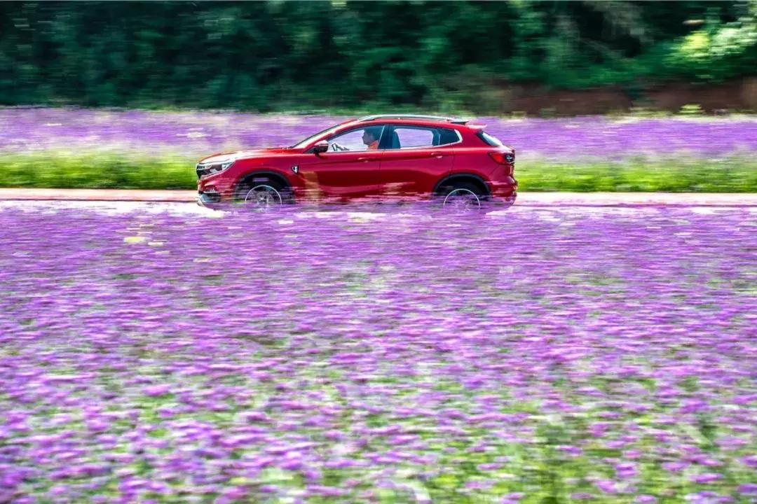 逍遥,带给你的不仅是一见钟情——陆风逍遥庐山西海深度试驾