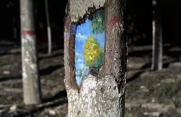 十一银川免费一日游推荐,宁夏十一一日游
