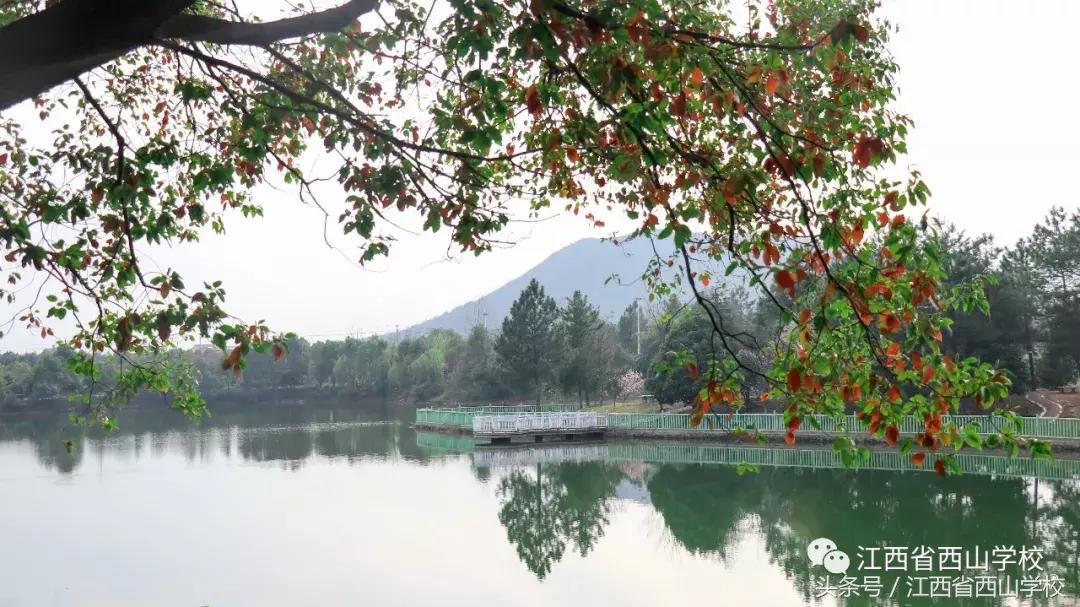 江西省西山文武学校,江西省西山学校学籍