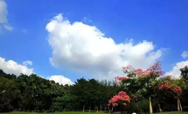 深圳免费景区一览表,深圳国际艺术博览会免费门票