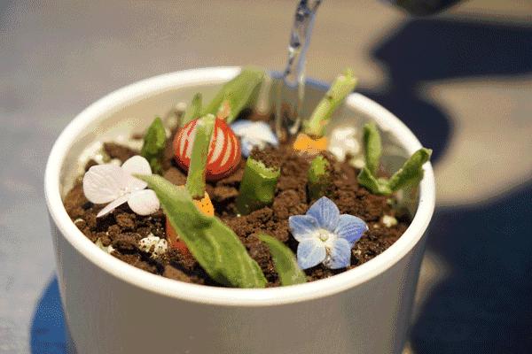 日月光攻略必去景点,日月光哪里吃划算