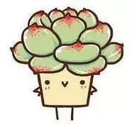 毛骨悚然！淄博家有养多肉的人快看，特别是有小孩的……