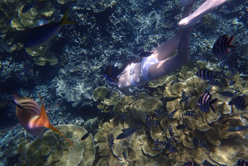 帕劳旅游最美风景攻略,帕劳全球海岛旅游