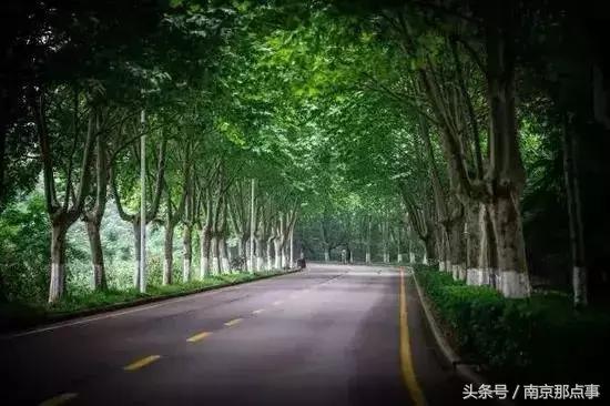 秦淮区月牙湖的房价,南京月牙湖房价44万房源