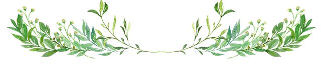 梧州龙华小学,梧州长洲区龙华小学