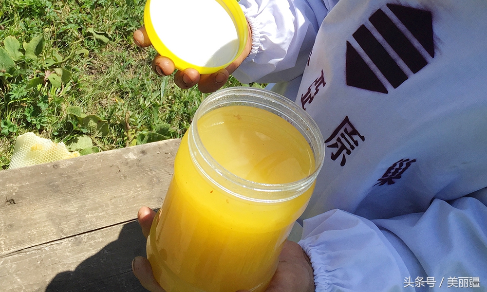新疆黑蜂基地伊犁,新疆尼勒克县黑蜂蜂蜜