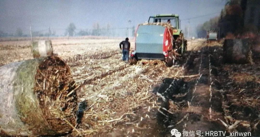 疫苗造假？！就地封存！这可是人用的｜早安，哈尔滨！