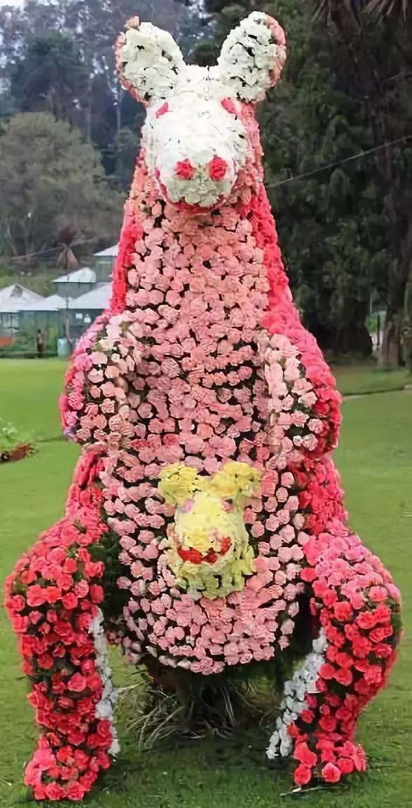 今天7月19，太美了！绝美送给群里好友！看完心情大好~