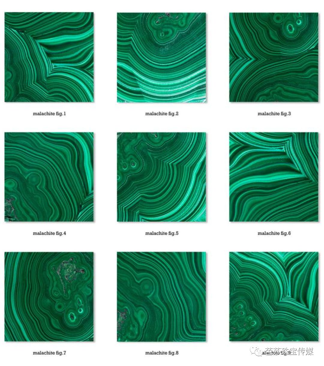 大力神杯下面都刻的什么,大力神杯镶了几颗绿宝石