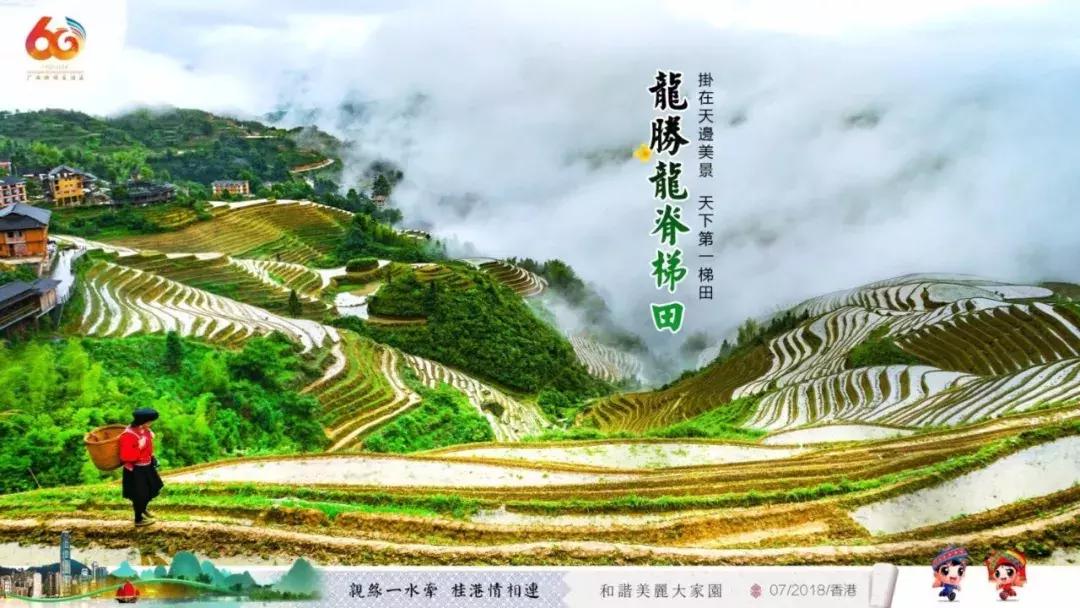 广西代表团入会场,广西党政代表团访问港澳