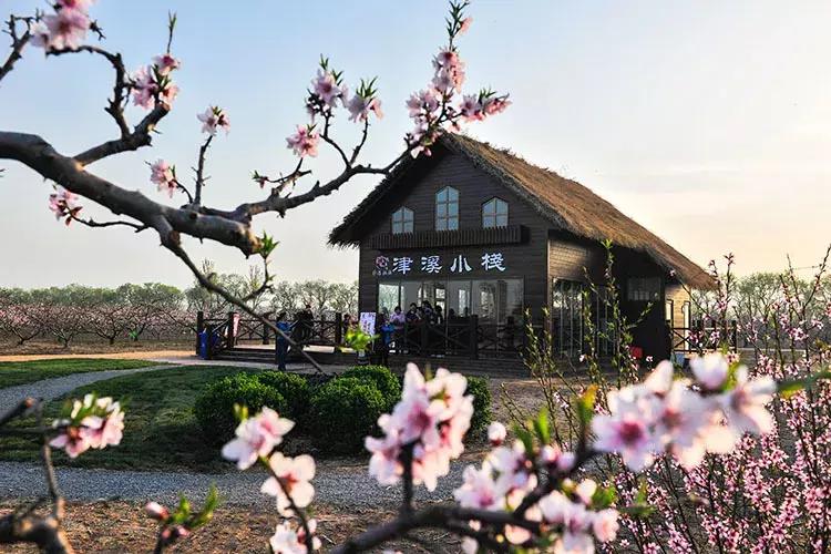 天津10个乡镇入选中央重点名单！这些乡镇重大利好，你入围了没？