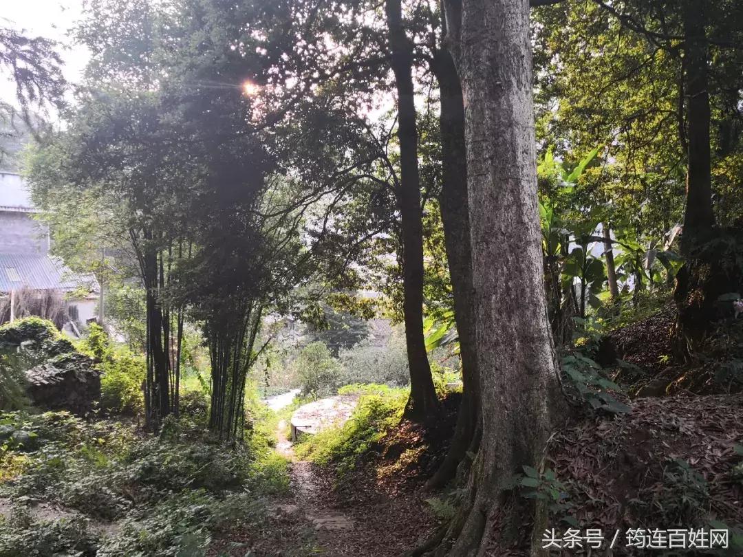 这个曾经身患“怪症”，命悬一线的小女孩，如今竟变成这样！