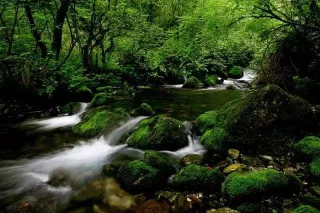 2022年宝鸡避暑好去处,宝鸡周边夏日避暑绝佳去处