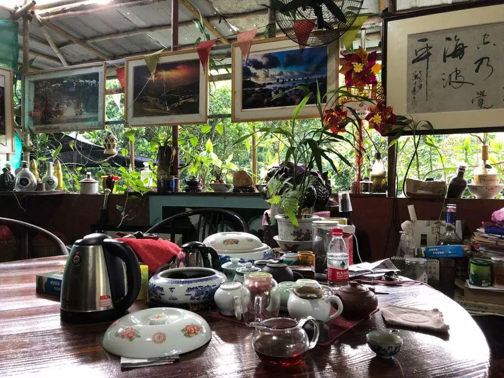 广东佛山鸟叔的视频,顺德鸟叔全景图