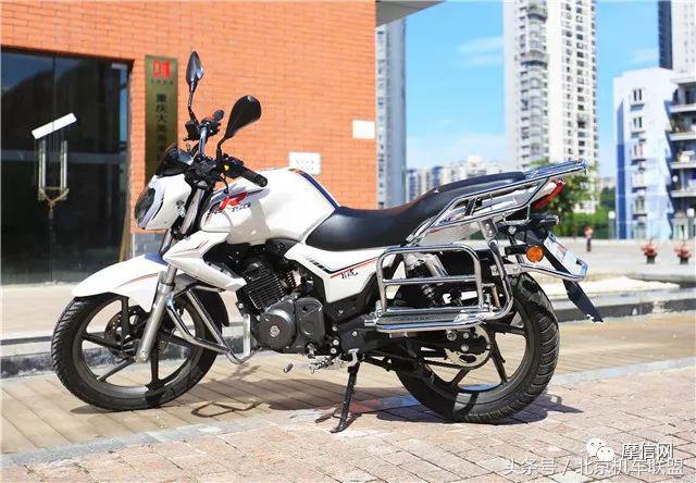 猛龙御龙钱江龙,钱江新御龙多少钱