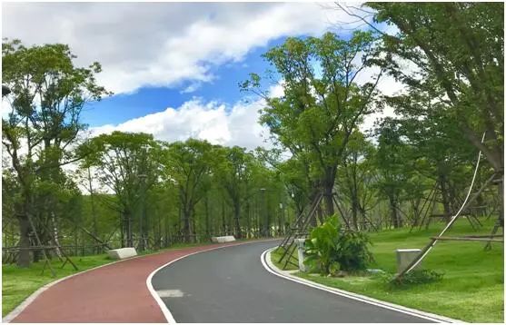 中海左岸花园人才公寓福州,福州拎包入住样板间