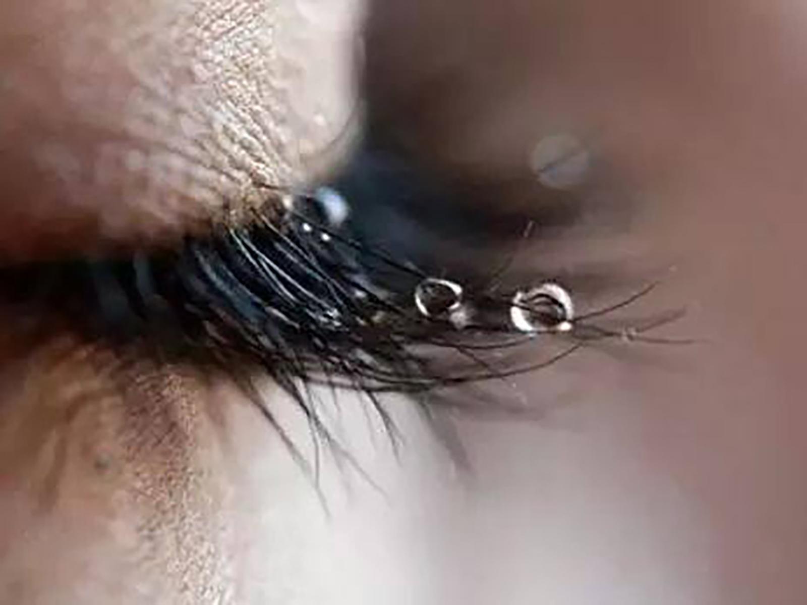 美睫科普视频,美睫款式搭配教程初学者培训