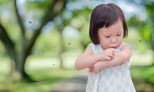 儿童专用青草膏,幼儿用无味青草膏