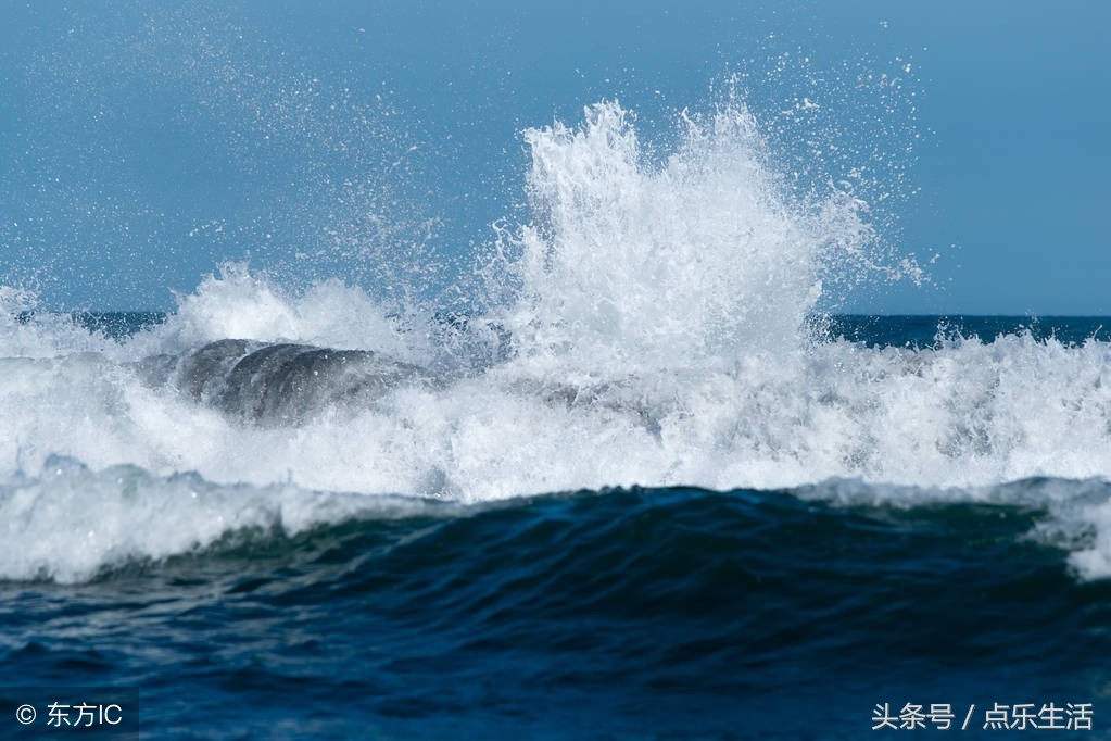 夏日全民旅行记,夏日全民旅游日记