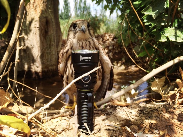 一射就是一大片，务本A214200流明直充强光手电实测