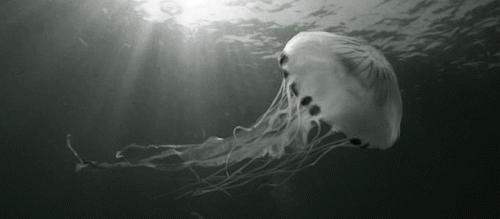 疼痛10大等级哪一级泪流满面,疼痛等级一百级分别都是什么