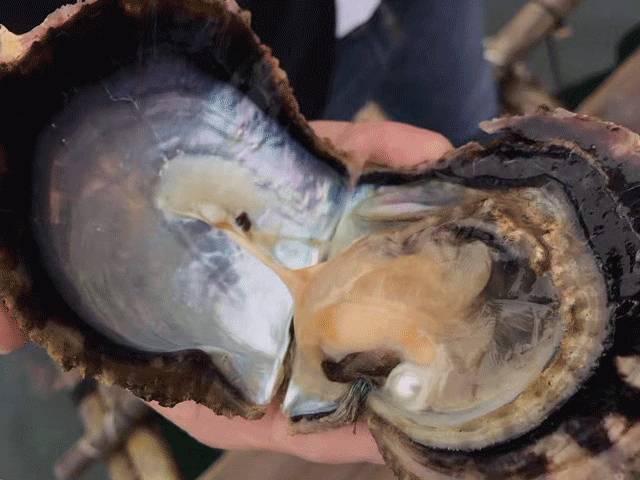 自用好物分享素颜霜,素颜霜底妆好物分享